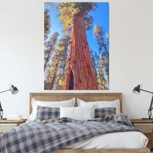 Reusachtige Sequoia boom in het bos Canvas Afdruk (Insitu (Slaapkamer))
