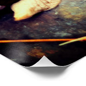 Reuze Afrikaanse landslakken ingelijste kunst Perfect Poster (Hoek)