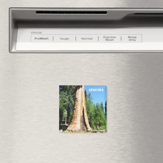 Reuze Sequoia magneet! Magneet (Insitu (Vaatwasser))