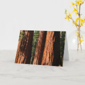 Reuze Sequoia's Kaart (Gele Bloem)