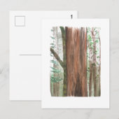 reuzebomen ansichtkaart briefkaart (Voorkant / Achterkant)