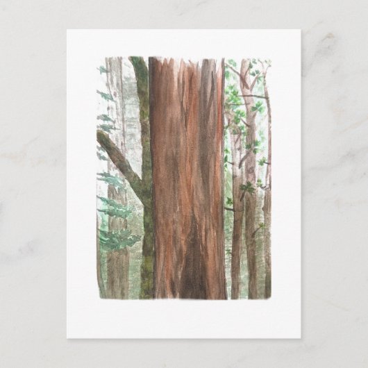 reuzebomen ansichtkaart briefkaart (Voorkant)