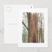 reuzebomen ansichtkaart briefkaart (Voorkant / Achterkant)