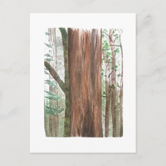 reuzebomen ansichtkaart briefkaart (Voorkant)