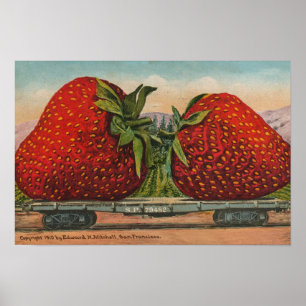 Reuzen Antique Fruit Plezierige Aardbeien Poster