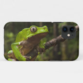 Reuzen bladkikker Phyllomedusa bicolor) Case-Mate iPhone Case (Achterkant (horizontaal))