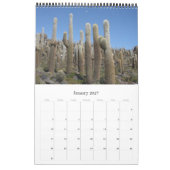 reuzen cactus bolivia kalender (Jan 2027)