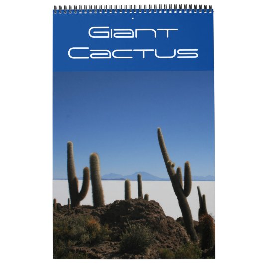 reuzen cactus bolivia kalender (Hoes)