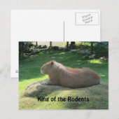 Reuzen Capybara Briefkaart (Voorkant / Achterkant)