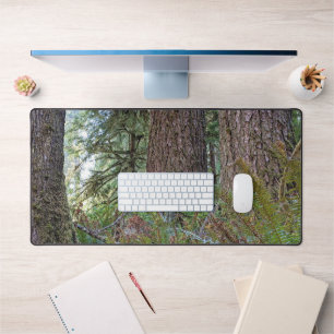 Reuzen Conifeer Pacific Northwest Woud Bureaumat