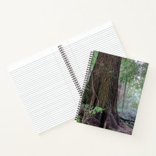 Reuzen Coniferen in een Bos Notitieboek