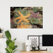 Reuzen groene anemoon en oker zeesterren poster (Thuiskantoor)