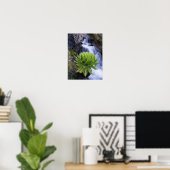 Reuzen Groundsel Of Dendrosenecio 2 Poster (Thuiskantoor)