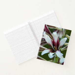 Reuzen Himalaya lelie bloem Notitieboek