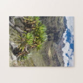 Reuzen Kruiskruid Of Dendrosenecio Legpuzzel (Horizontaal)