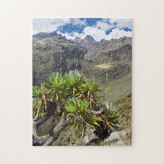 Reuzen Kruiskruid Of Dendrosenecio Legpuzzel (Verticaal)