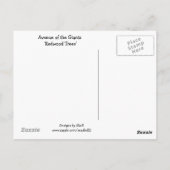 Reuzen Redwood Bomen Briefkaart (Achterkant)