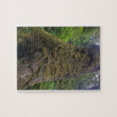 Reuzen spar, Cape Perpetua, Oregon Legpuzzel (Horizontaal)