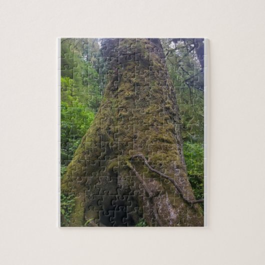 Reuzen spar, Cape Perpetua, Oregon Legpuzzel (Verticaal)