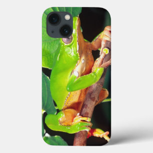Reuzen tweekleurige aapboomkikker, Phyllomedusa Case-Mate iPhone Case