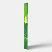 Reuzen tweekleurige aapboomkikker, Phyllomedusa Case-Mate iPhone Case (Achterkant / Rechts)