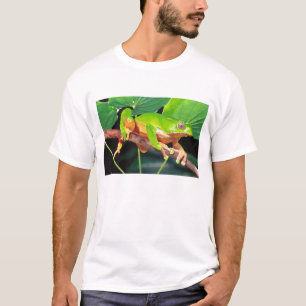Reuzen Tweekleurige Aapboomkikker, Phyllomedusa T-shirt