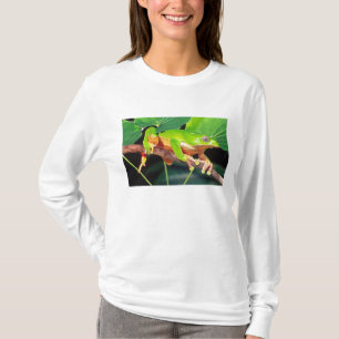 Reuzen Tweekleurige Aapboomkikker, Phyllomedusa T-shirt