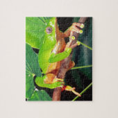 Reuzen tweekleurige apenkikker, Phyllomedusa Legpuzzel (Verticaal)