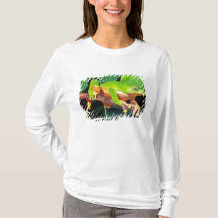 Reuzen tweekleurige apenkikker, Phyllomedusa T-shirt