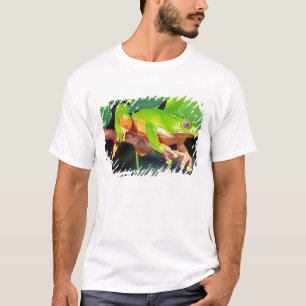 Reuzen tweekleurige apenkikker, Phyllomedusa T-shirt