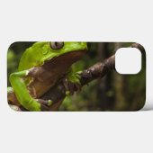 Reuzenbladkikker Phyllomedusa bicolor) Case-Mate iPhone Case (Achterkant (horizontaal))