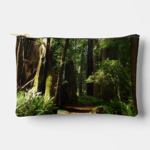 Reuzenbomen en varens in Redwood National Park Etui