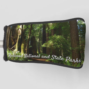 Reuzenbomen en varens in Redwood National Park Golfheadcover