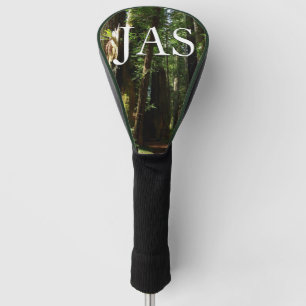 Reuzenbomen en varens in Redwood National Park Golfheadcover