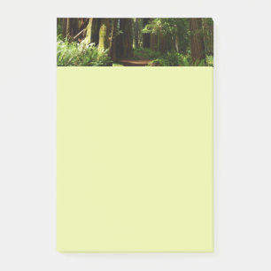 Reuzenbomen en varens in Redwood National Park Post-it® Notes