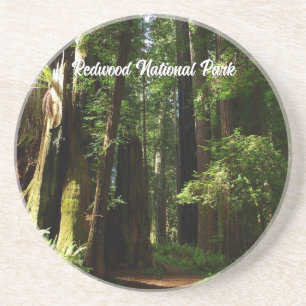 Reuzenbomen en varens in Redwood National Park Zandsteen Onderzetter