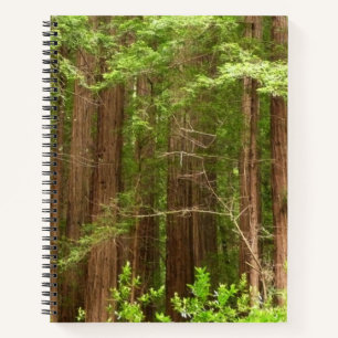 Reuzenbomen in Muir Woods National Monument Notitieboek