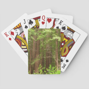 Reuzenbomen in Muir Woods National Monument Pokerkaarten