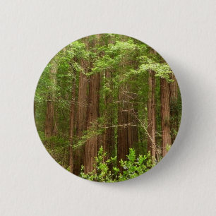 Reuzenbomen in Muir Woods National Monument Ronde Button 5,7 Cm