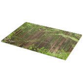 Reuzenbomen in Muir Woods National Monument Snijplank (Hoek)