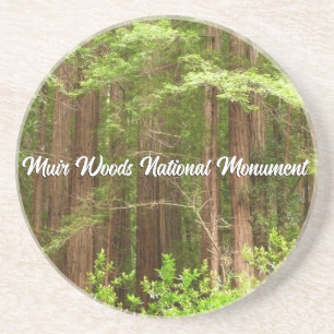Reuzenbomen in Muir Woods National Monument Zandsteen Onderzetter