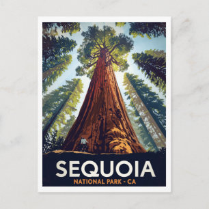 Reuzenbomen in Sequoia National Park Briefkaart