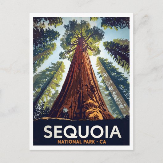 Reuzenbomen in Sequoia National Park Briefkaart (Voorkant)