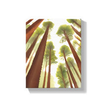 Reuzenbomen | Nationaal park Redwood Waterverf
