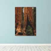 Reuzenbomen, Sequoia National Park. Canvas Afdruk (Insitu (Houten vloer))