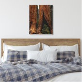 Reuzenbomen, Sequoia National Park. Canvas Afdruk (Insitu (Slaapkamer))