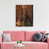 Reuzenbomen, Sequoia National Park. Canvas Afdruk (Insitu (Woonkamer))
