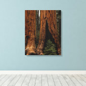 Reuzenbomen, Sequoia National Park. Canvas Afdruk (Insitu (Houten vloer))