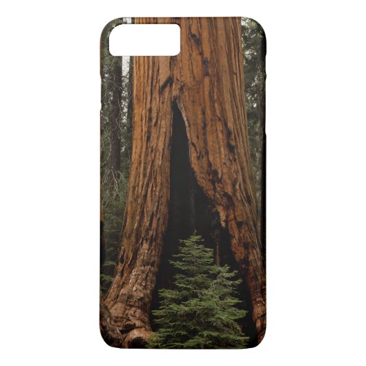 Reuzenbomen, Sequoia National Park. Case-Mate iPhone Case (Achterkant)