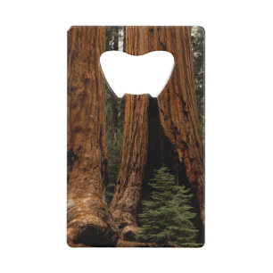 Reuzenbomen, Sequoia National Park. Creditkaart Flessenopener
